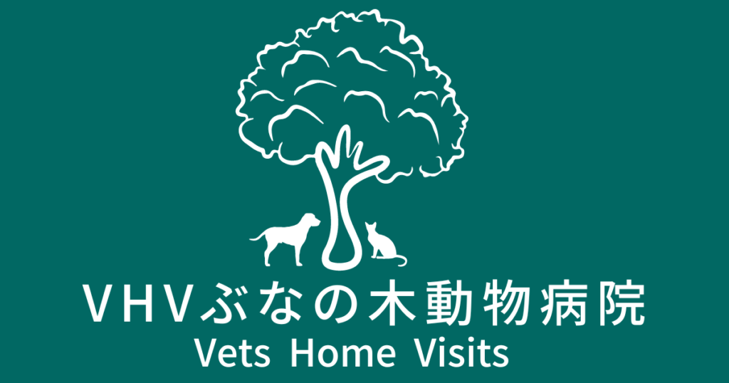 VHVぶなの木動物病院の新しいロゴ