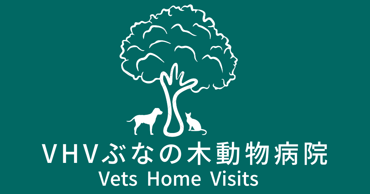埼玉県桶川市の往診専門・訪問診療「VHVぶなの木動物病院」