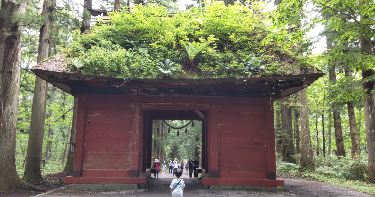 戸隠神社の奥社の神門